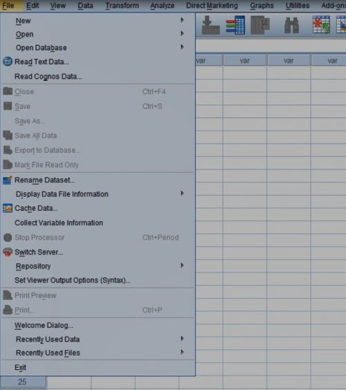 file-menusu-istatistik-yurdu