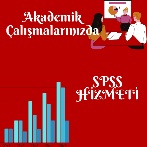 spss-anket-analizi-hizmeti